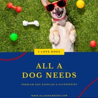 All A Dog Needs(@AllADogNeeds) 's Twitter Profile Photo