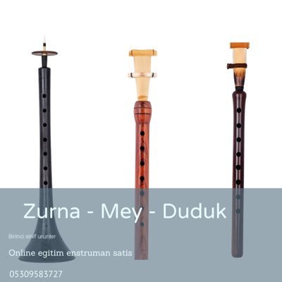 MÜZİK ÖĞRETMENİ / MÜZİSYEN.