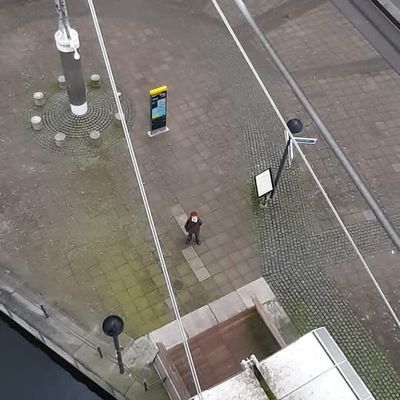 seanpjpk's profile picture. 🇮🇪 🐝