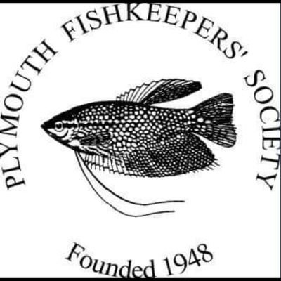 Plymouth Fishkeepers are a club for aquarium and pond lovers of all abilities. We consist of novices and  professionals. Supporting each other within the hobby.