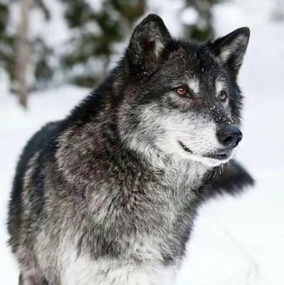 revalink35143's profile picture. 分享高端外围，足疗➕按摩探花🌸🌸🌸！