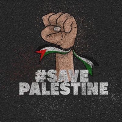 sakura_dz91's profile picture. 