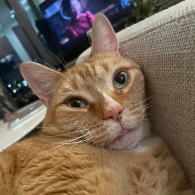 michelleysims's profile picture. 