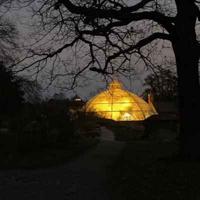 wayupnorth_x's profile picture. Empathetic northerner with a functional brain. Realist.