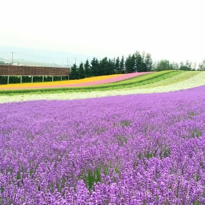 松本潤さん💜、ヒョンビンさん💙   、チャウヌくん💙   

🙏🏻願えば叶う🙏🏻