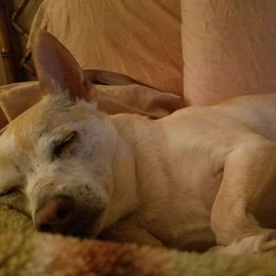 AthenaRuby50068's profile picture. 