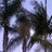 jamesbartnick's profile image