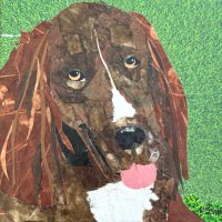 Violet the Newfy (@violet_thenewfy) 's Twitter Profile