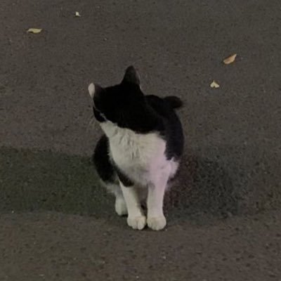 skykun_desu's profile picture. 21   期待値稼働