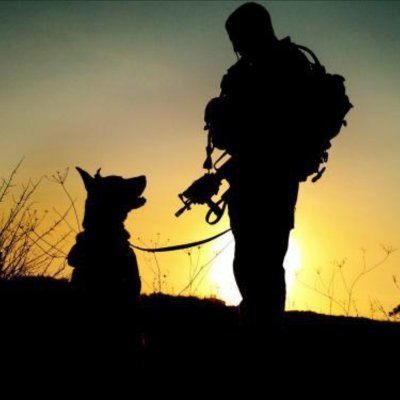 DogsWar95828 Profile Picture