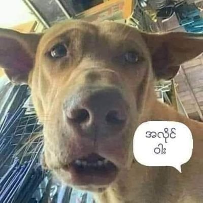 tharra822's profile picture. 