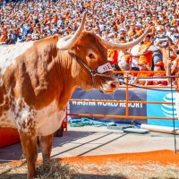 Thomas (@thomas489596405) 's Twitter Profile