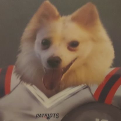 TonyM1619937's profile picture. 