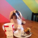 Brown Dog Cafe - @BrownDogCafeVan - Twitter