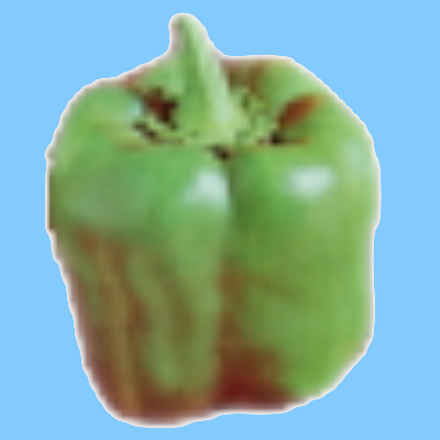 artcheesemeow's profile picture. 