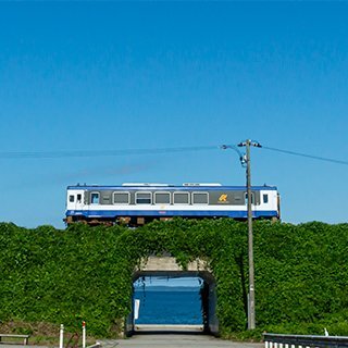 沃野一望数百里。90番の旅と市民マラソン（ナマコ）と土浦愛