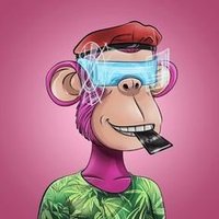 Cole Wehner (@colewehner58879) 's Twitter Profile