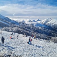 Bryana Ledner (@bryanaledn78251) 's Twitter Profile