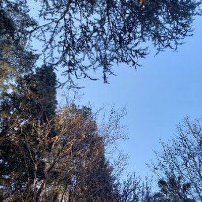 RoxanaRoss21047's profile picture.