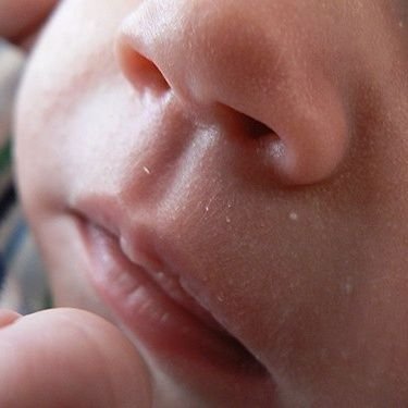 cscschultz's profile picture. Hey baby, wanna see my philtrum?