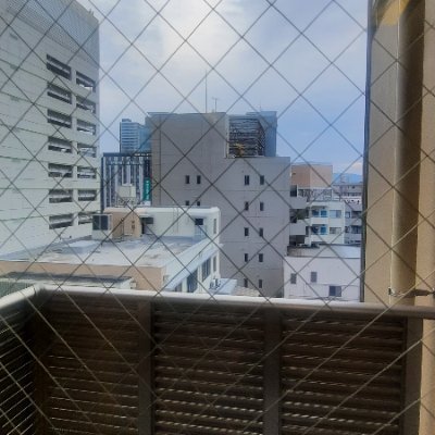 PETHTesting's profile picture. 