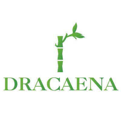 Dracaena Technology was founded in 2020 & we accomplished so much over the years to create a world where customers can find high quality water cooling system.