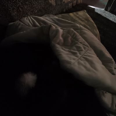 你開學了