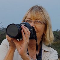 VerySouthWest (@verysouthwest) 's Twitter Profile Photo VerySouthWest (@verysouthwest) 's Twitter Profile Photo