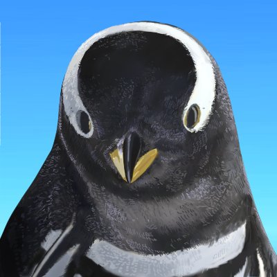 yoko_penguin Profile Picture