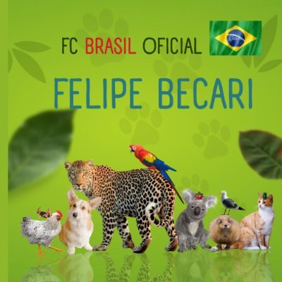 FC BRASIL OFICIAL DEDICADO AO NOSSO LIDER SOCIAL FELIPE BECARI