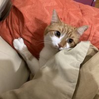 Thomas Miller (@mill61184) 's Twitter Profile