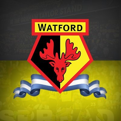 Desde 2019 siguiendo al más grande del norte de Londres, desde el país campeón del mundo. @WatfordFC 💛