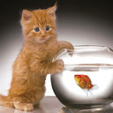 Kitty Barry - @KittyBarry1 - Twitter