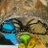Asshi_ikimade