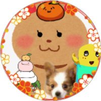 みやびmama (@miyabi39mama) 's Twitter Profile Photo みやびmama (@miyabi39mama) 's Twitter Profile Photo