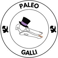 PaleoGalli(@TwitiGalli) 's Twitter Profileg