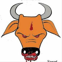 NFUofficial1_supporter🏹✍️ (@nfuofficial1_) 's Twitter Profile