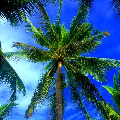 K4444RL's profile picture. putang ina!!!!

ga-ro-be-tr-g-b (o-b)!!!!

eng tag ceb OK!!!!!!!