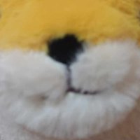 Rufus Presto (@prestorufus) 's Twitter Profile