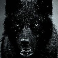 lonewolfgonerogue(@lonewolf_rogue) 's Twitter Profile Photo