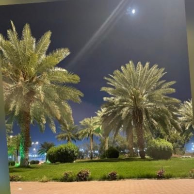 AAlmashjari517's profile picture. 