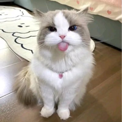 jidajidawe's profile picture. crown on my head 👑👸🏻yeji🔥