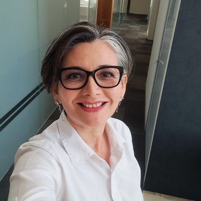 MonicadelPinoG's profile picture. Asesor y consultor inmobiliario ☆ 25 años de experiencia en rentas