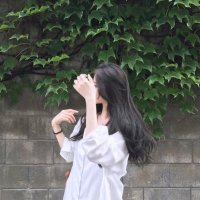 sun（互fo） (@sun1335152) 's Twitter Profile