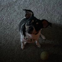 LP (@robyn_pone) 's Twitter Profile