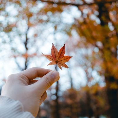 \もっとカメラが好きになる📷/⁡

 ▷カメラがお家で眠ってる⁡ 
▷オート撮影でしか使えない⁡ ⁡ 

カメラ初心者さん&カメラをこれから始める方に向けて⁡ カメラの基礎知識、撮影のコツを配信中！

#被写体募集 もしています！ご依頼はDMへ✉