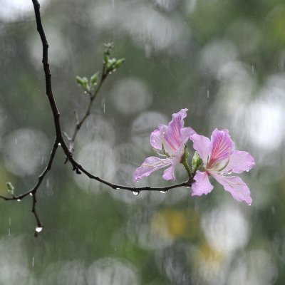 SHtosb22188's profile picture. 