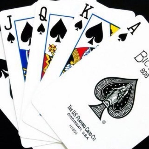 letsgometsnjets's profile picture. $OpenArmy