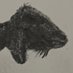 raccoon wizard (@hahahaniceman1) Twitter profile photo raccoon wizard (@hahahaniceman1) Twitter profile photo