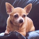 Deb Adams - @debbieleeinrye - Twitter